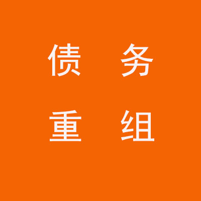 柯坪个人债务重组优化